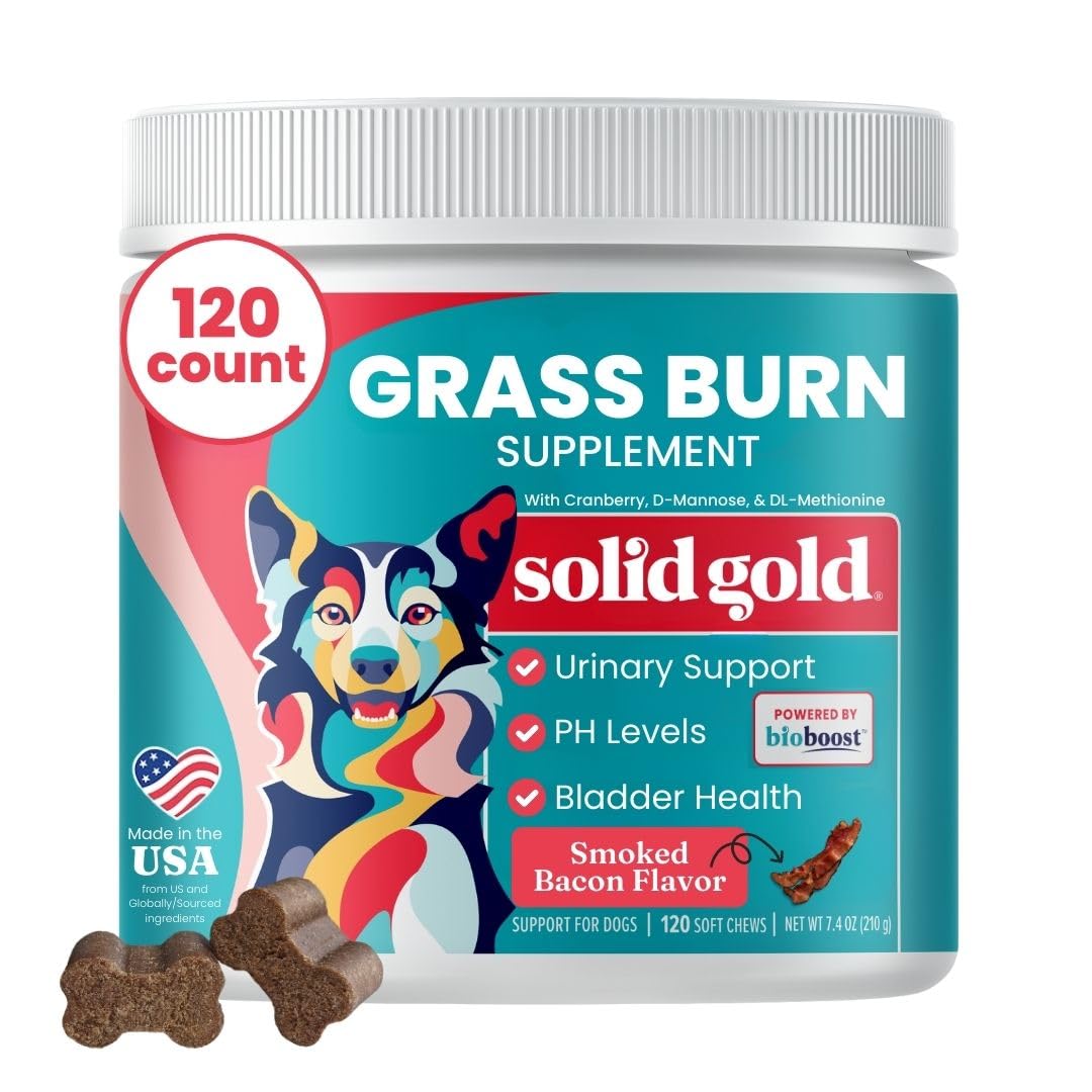 Solid Gold dog pee grass repair chews packaging shows 120-count bottle for lawn care.