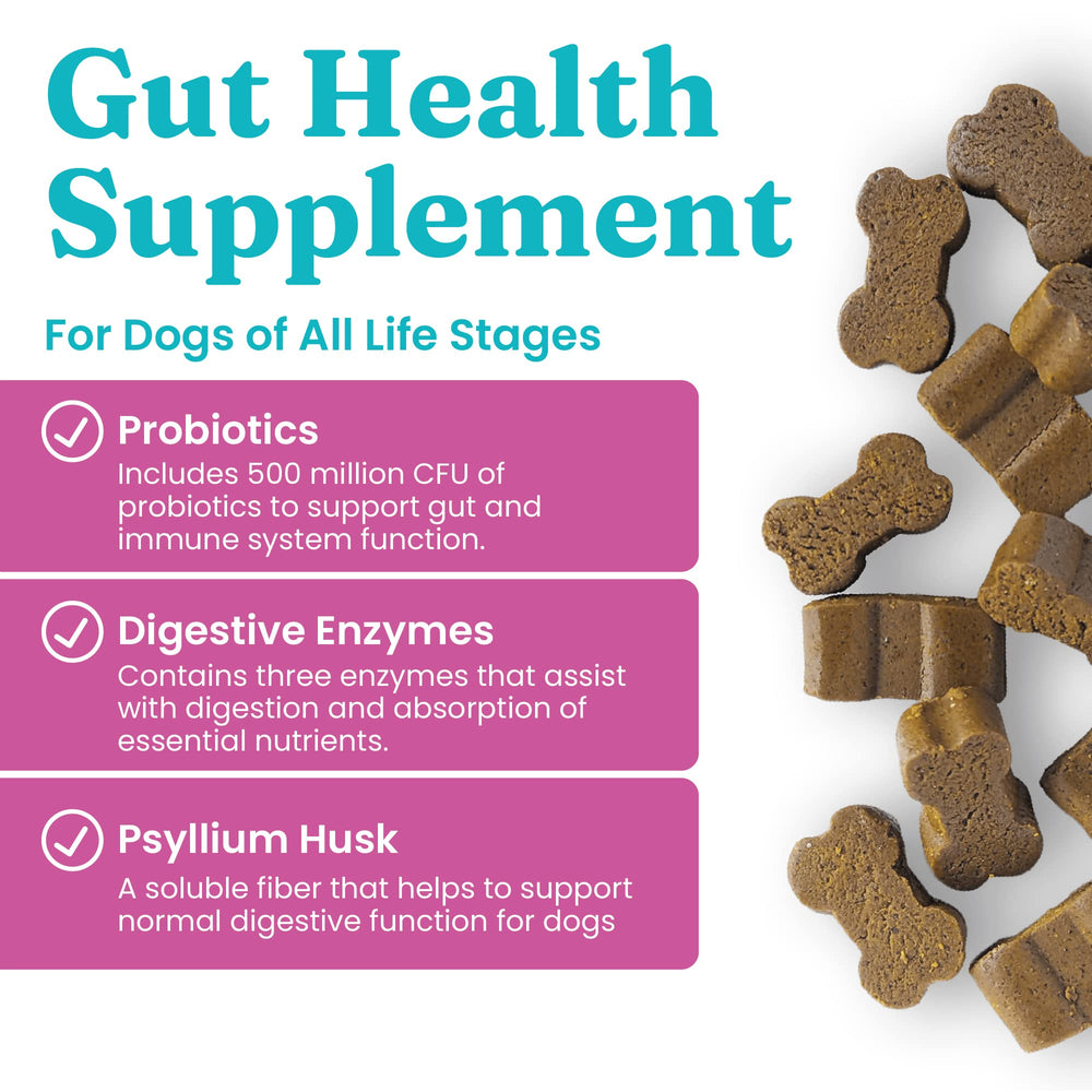 Solid Gold dog probiotics bacon-chews close-up highlights daily gut balance with tasty flavor.