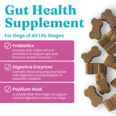Solid Gold dog probiotics bacon-chews close-up highlights daily gut balance with tasty flavor.