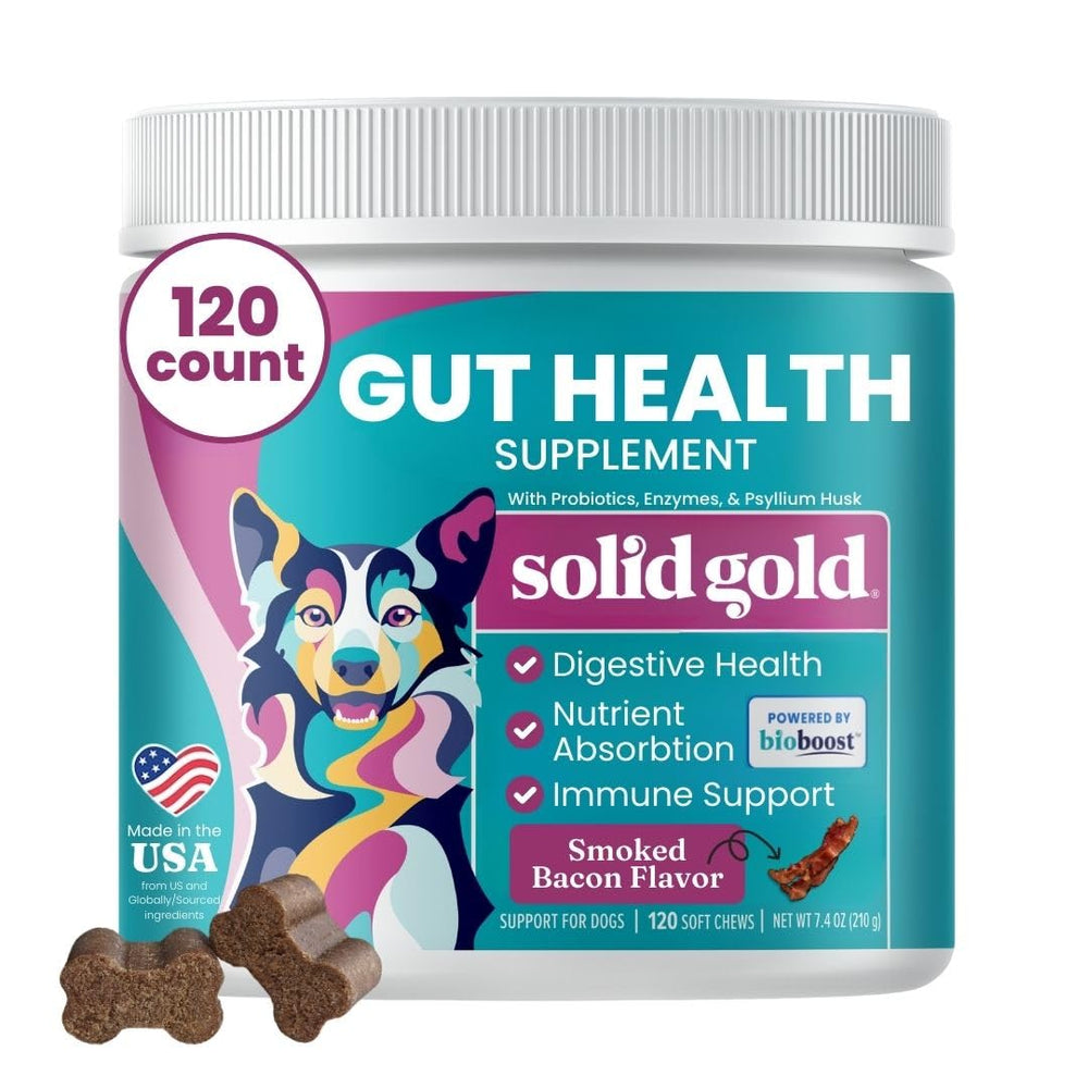 Solid Gold dog probiotics bottle front shows digestive health support for dogs of all ages.