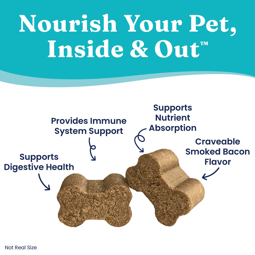 Solid Gold dog probiotics-digestive-enzymes alpha-amylase close-up illustrates assistance breaking down meals.