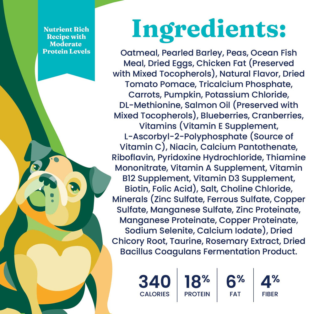 Solid Gold 20 superfood blend bottle shows ingredients for gut health.