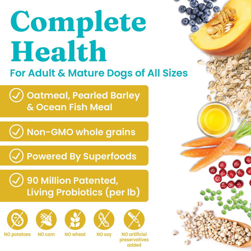 Solid Gold dry dog food packaging shows potato-free Holistique Blendz formula for sensitive stomachs.