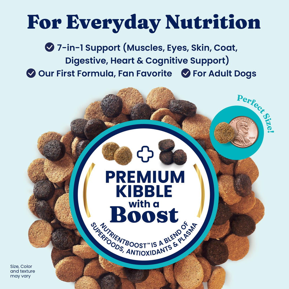 Solid Gold dry kibble closeup highlights high-protein lamb as first ingredient.