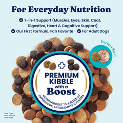 Solid Gold dry kibble closeup highlights high-protein lamb as first ingredient.