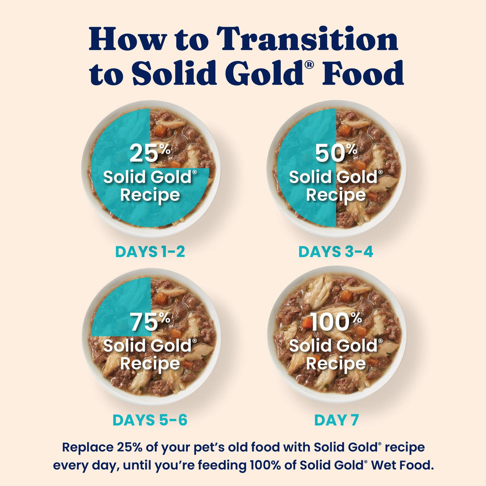 Solid Gold Five Oceans grain-free formula in bowl, ideal for sensitive stomachs.