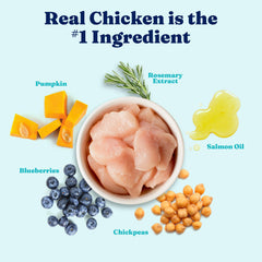 Solid Gold grain-free gluten-free kibble close-up for dogs with sensitivities.