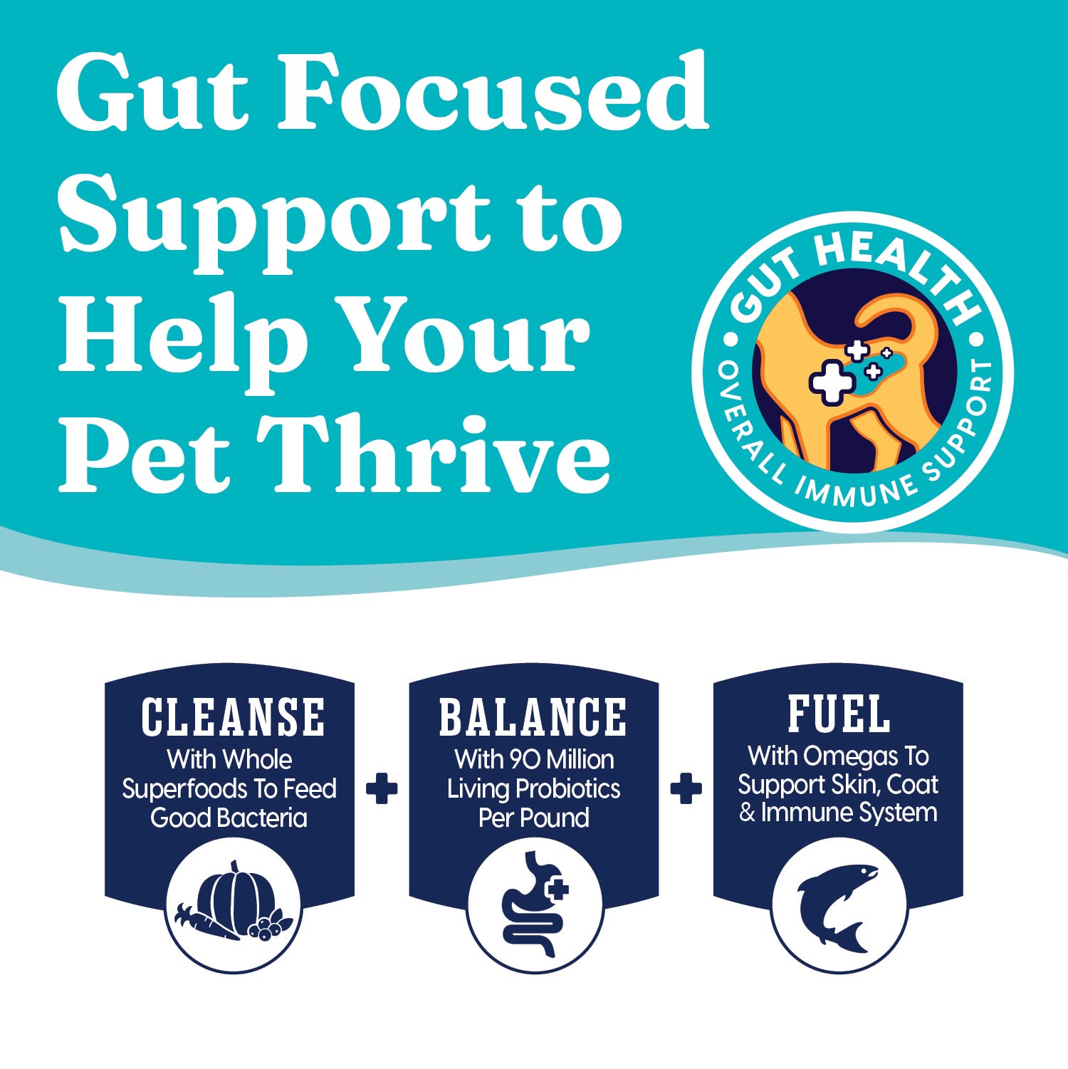 Solid Gold Grain-Free Small-Breed Kibble emphasizes grain-free recipe for sensitive stomachs.
