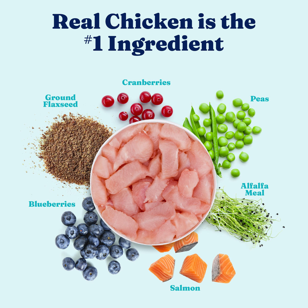 Solid Gold grain-free formula on the can label appeals to dogs with sensitivities.