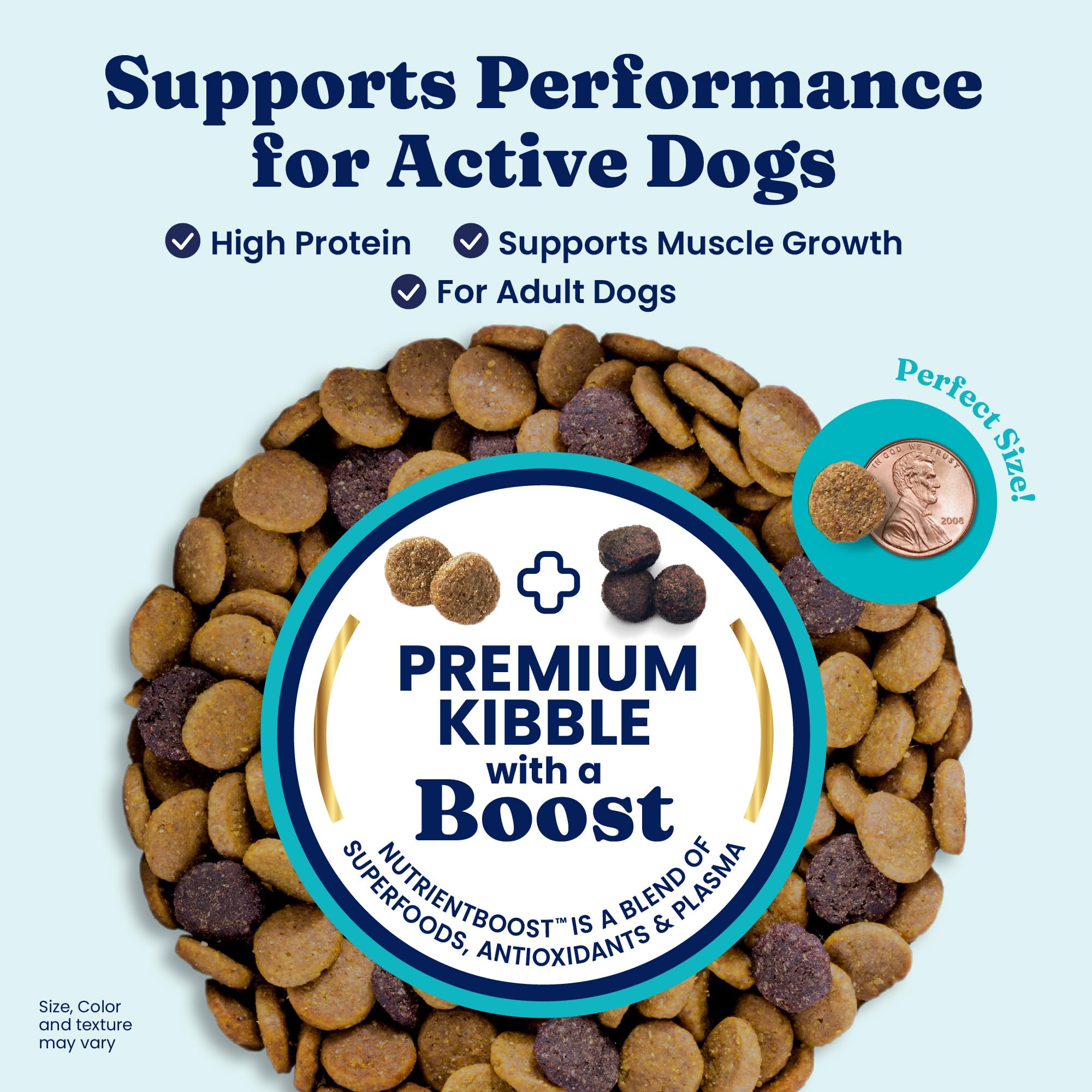 Solid Gold High Protein dog food salmon oil promotes a glossy coat