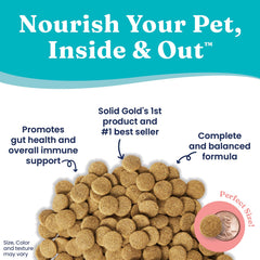 Solid Gold Hund-N-Flocken lamb ingredient closeup emphasizes protein-rich nutrition for steady energy.