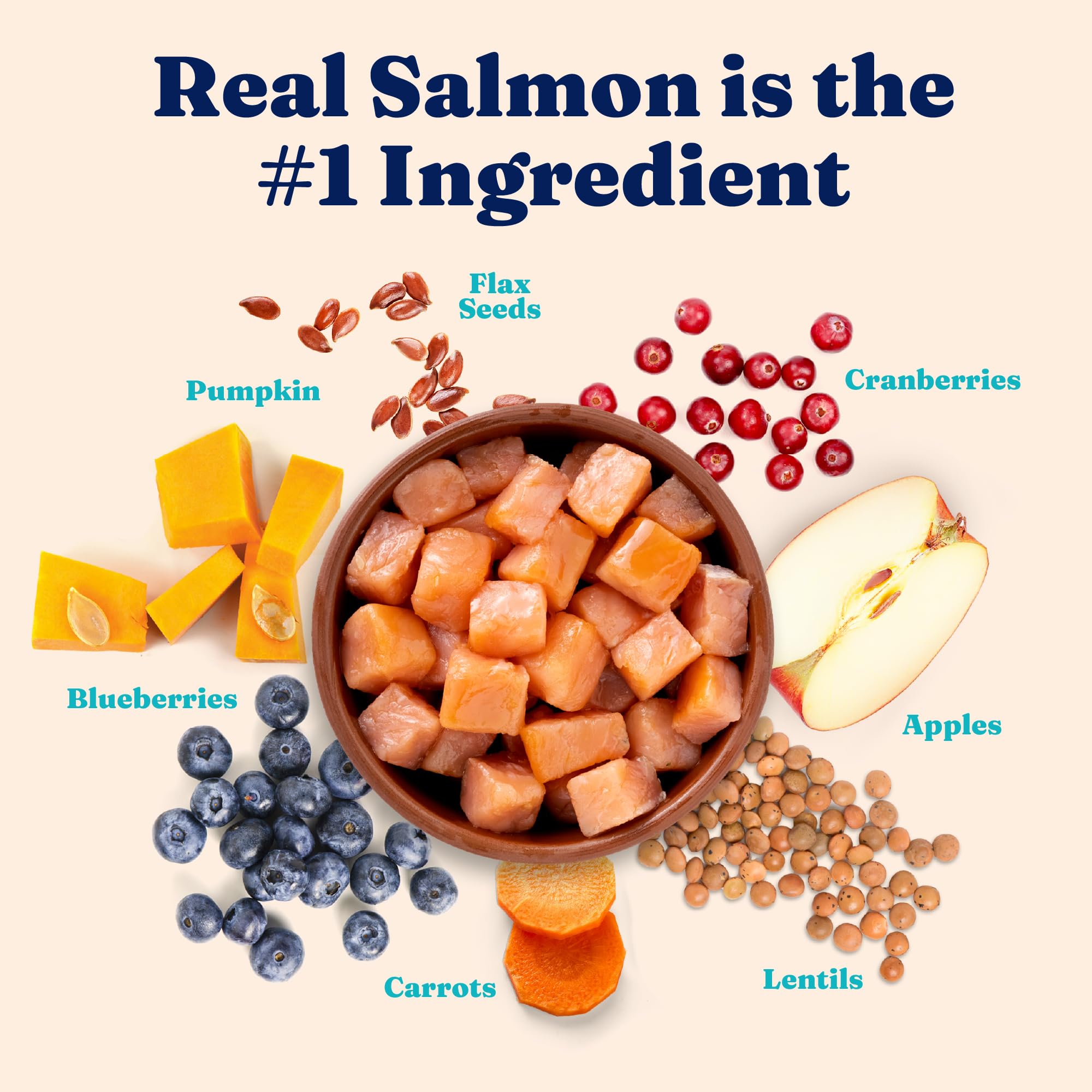 Solid Gold Indoor Dry Cat Food probiotics illustration emphasizing gut health support.