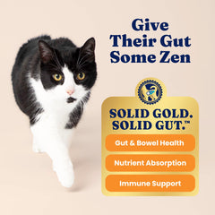 Solid Gold Katz-N-Flocken calabaza y arándano para bienestar general