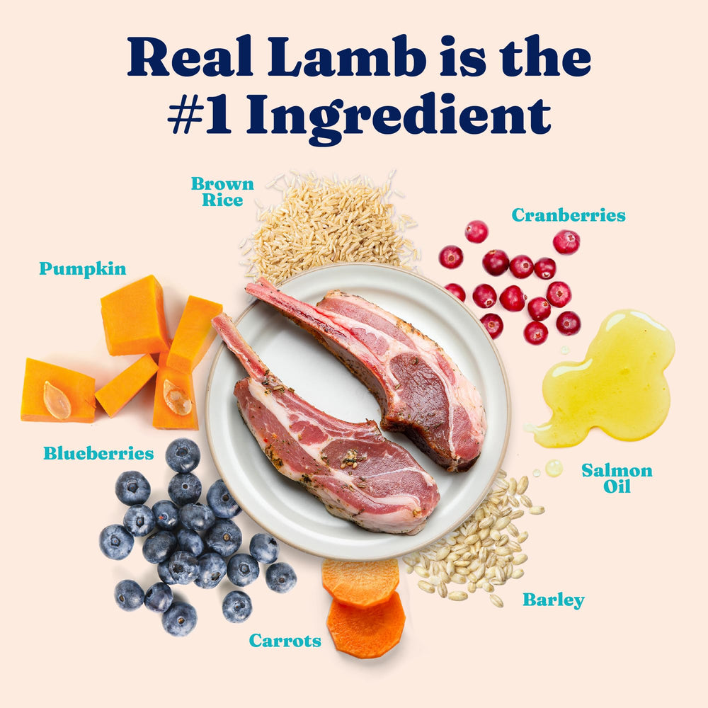 Solid Gold Katz-N-Flocken lamb ingredients close-up as real protein source.