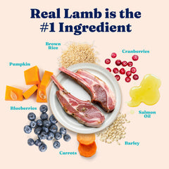 Solid Gold Katz-N-Flocken lamb ingredients close-up as real protein source.
