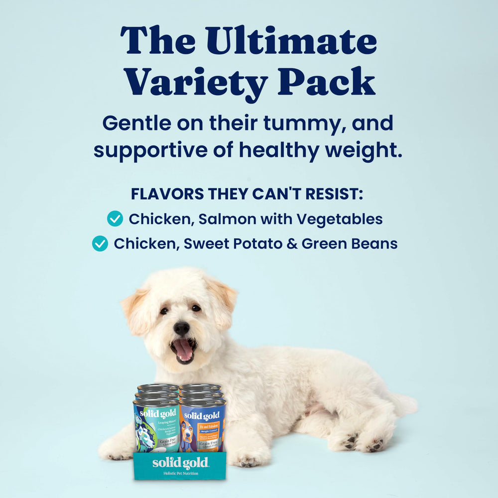 Solid Gold Leaping Waters chicken-salmon grain-free can graphic highlights grain-free nutrition for sensitive stomachs.