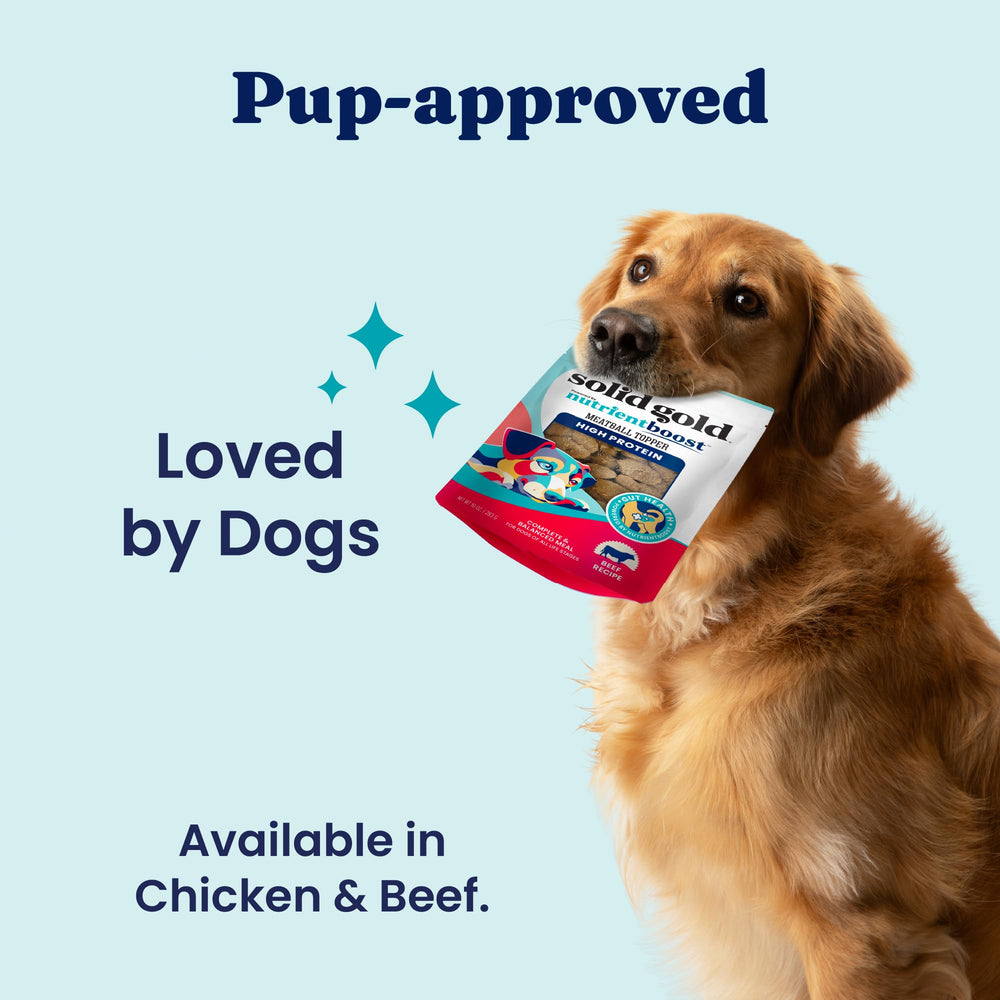 Solid Gold Meatball Topper grain-free formula on kitchen counter.
