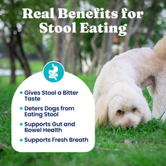 Solid Gold No Poo Chews probiotics label showcases Bacillus coagulans benefits for digestion.