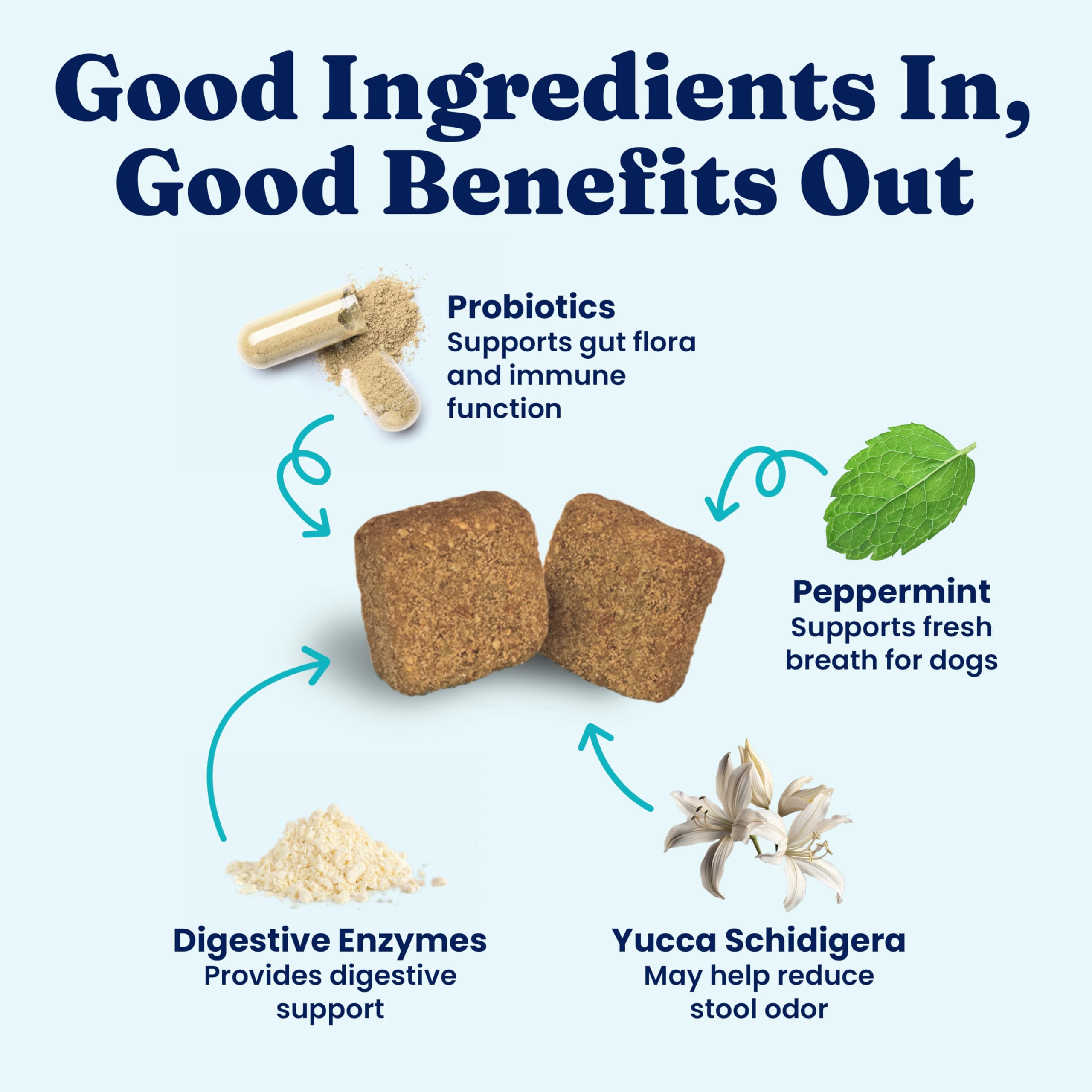 Solid Gold No Poo Chews digestive enzymes image emphasizes gut health support for dogs.