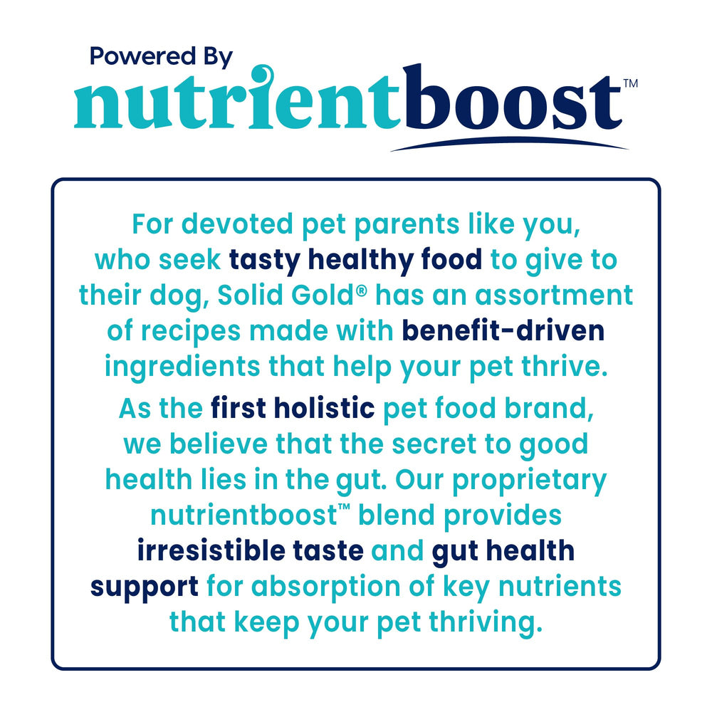 Solid Gold Nutrient Boost Topper closeup of pumpkin powder highlighting natural ingredients.