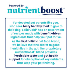 Solid Gold Nutrient Boost Topper closeup of pumpkin powder highlighting natural ingredients.