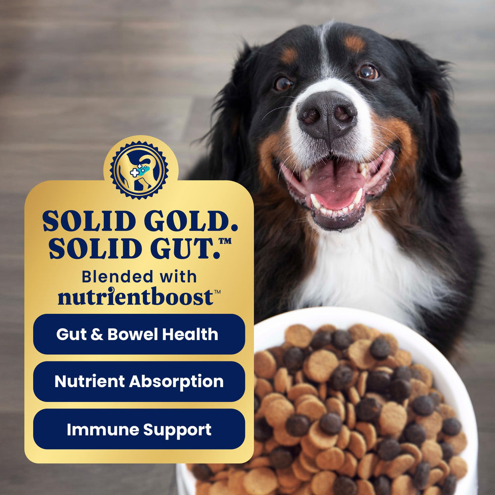Solid Gold nutrientboost supports digestion and immune health in dogs.