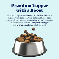 Solid Gold NutrientBoost dry kibble topper highlighting grain-free nutrition supporting digestion.