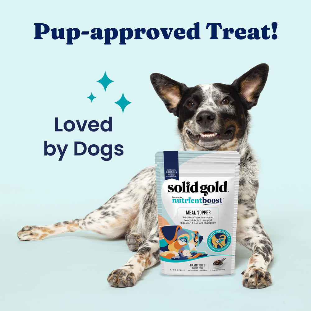 Solid Gold NutrientBoost vitamins-minerals image underlining immune-supporting nutrients in every bite.