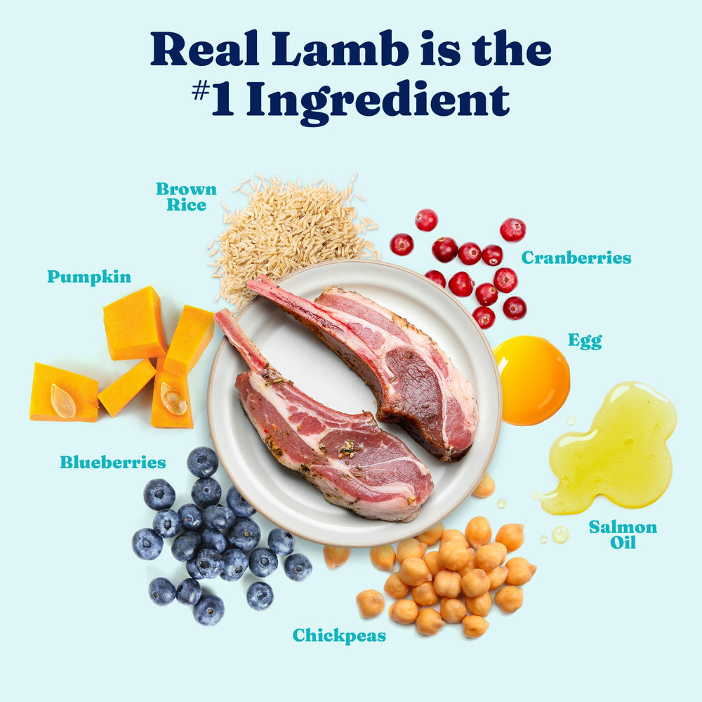 Solid Gold pasture-raised lamb ingredient emphasizes quality protein sourcing.