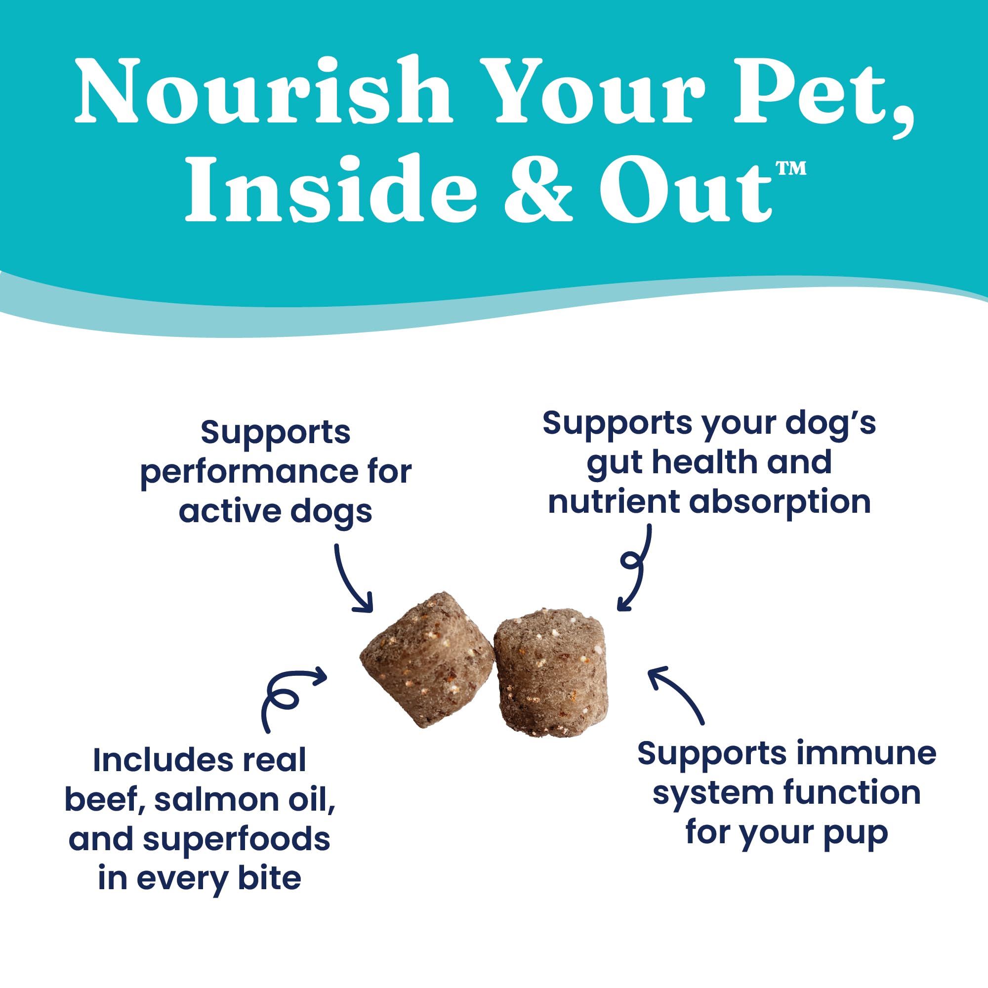 Solid Gold Performance Functional Treats training rewards for active dogs delivering energy and immune support.