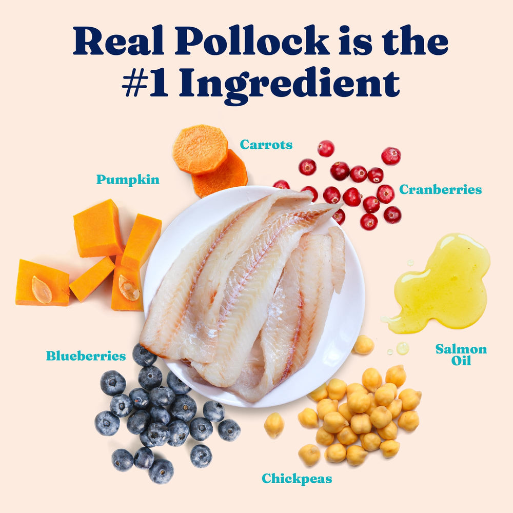Solid Gold pollock-first ingredient packshot emphasizes protein-rich base.