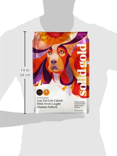 Solid Gold probiotic-digestive-support kibble close-up highlighting gut-friendly ingredients