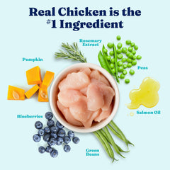 Solid Gold probiotic formula supports gut health and immune balance