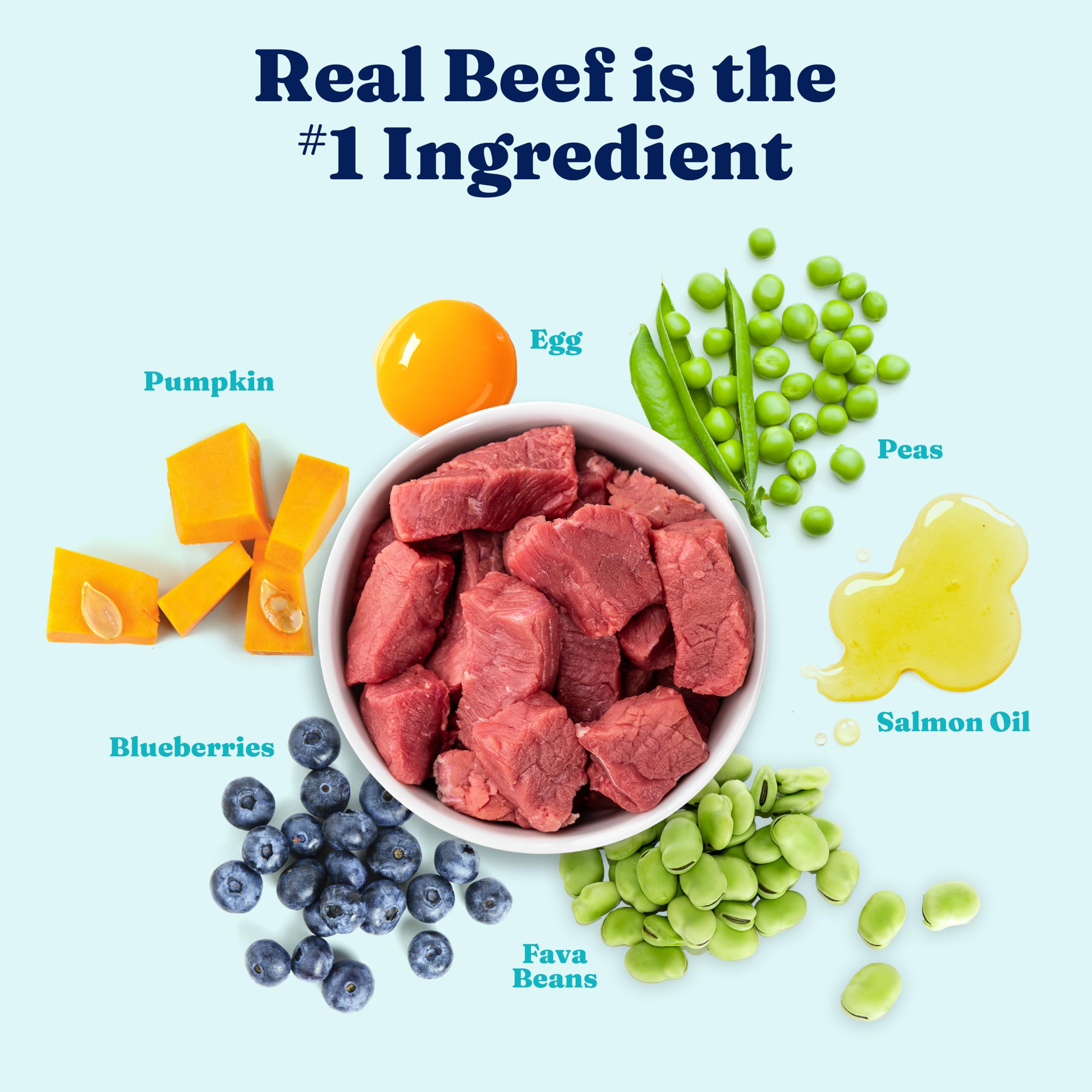 Solid Gold probiotic label image demonstrates gut health support through daily digestion.