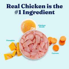 Solid Gold Protein Shreds pumpkin-and-carrots image emphasizes wholesome veggies supporting digestion and immune health