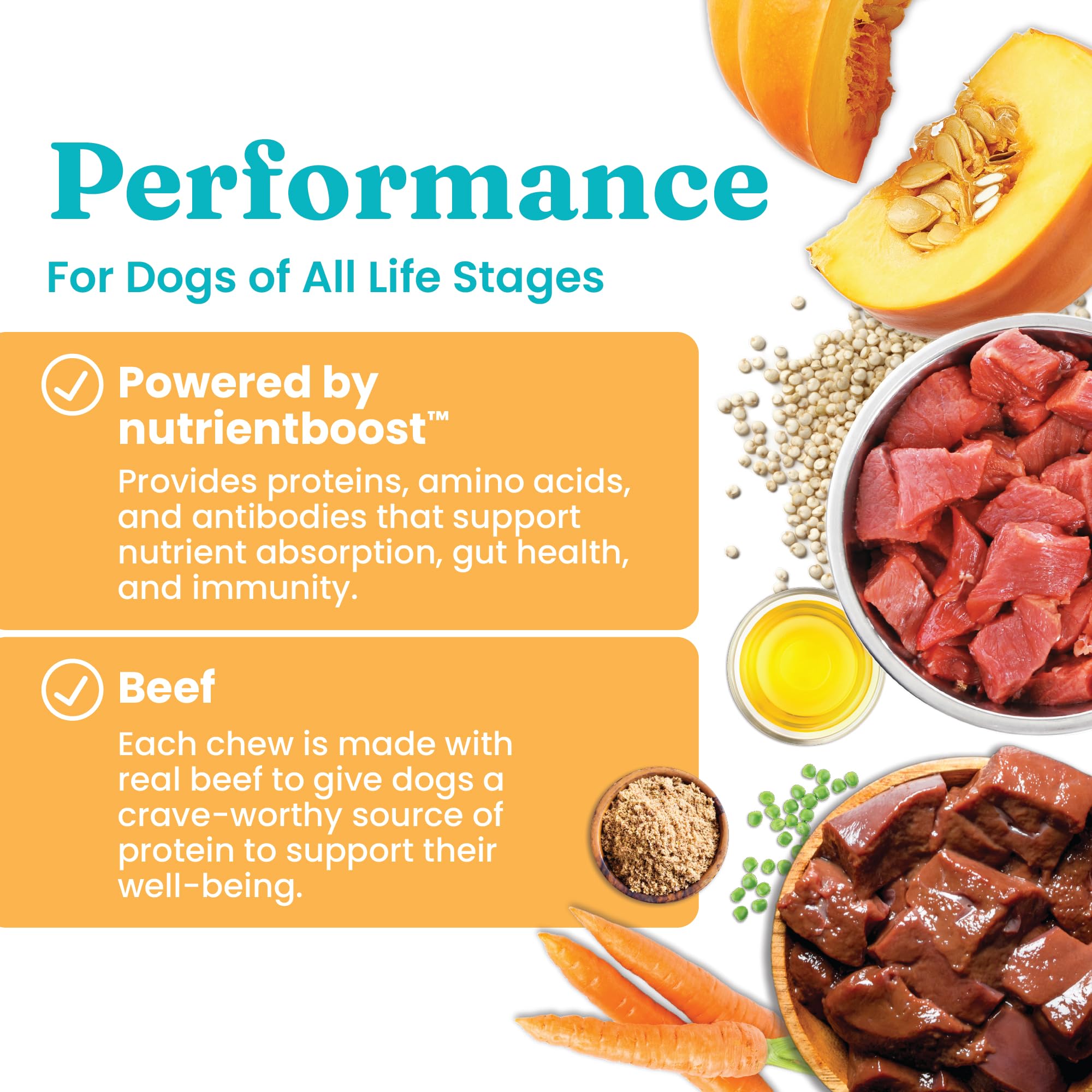 Solid Gold Gut-health pumpkin quinoa with salmon oil highlights balanced digestion and immune-friendly nutrition.