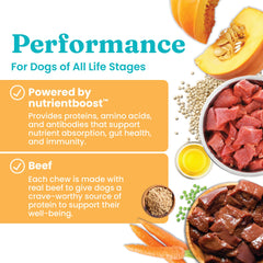 Solid Gold Gut-health pumpkin quinoa with salmon oil highlights balanced digestion and immune-friendly nutrition.