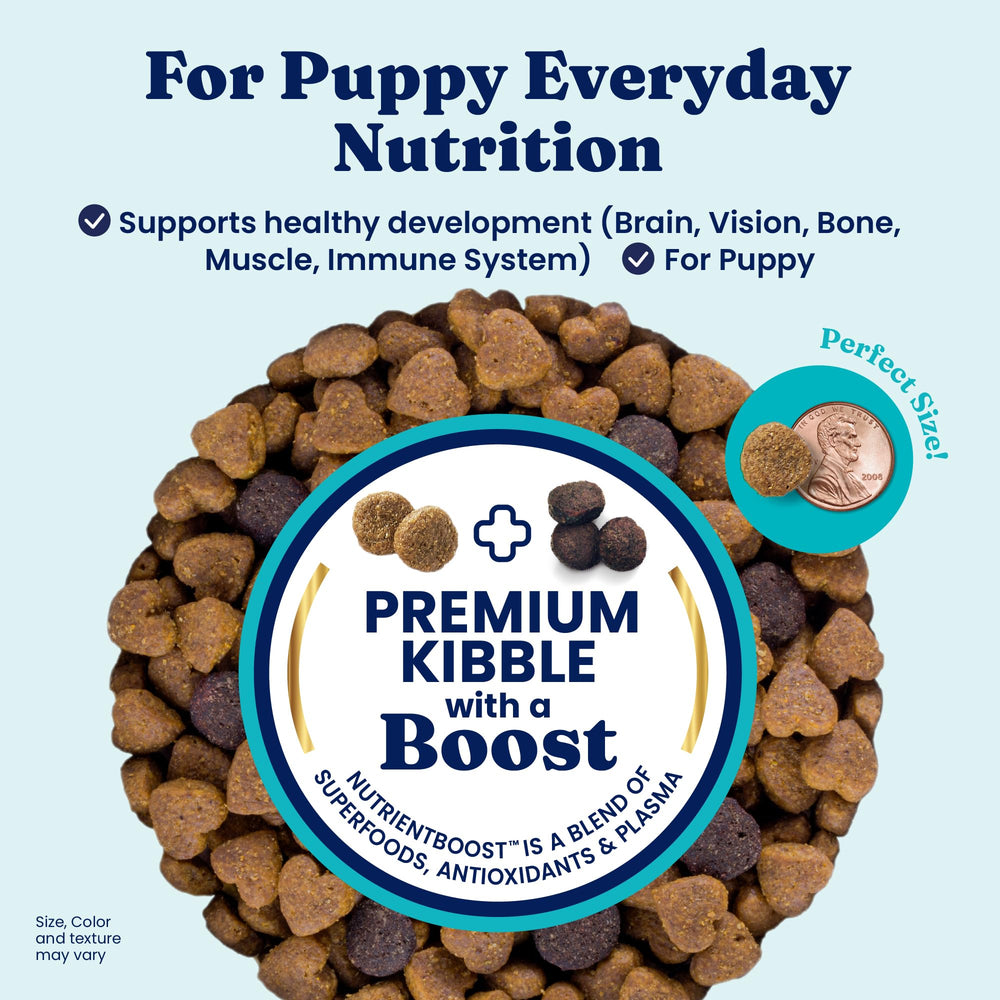 Solid Gold puppy bowl serving shows grain-free kibble promoting puppy digestion.