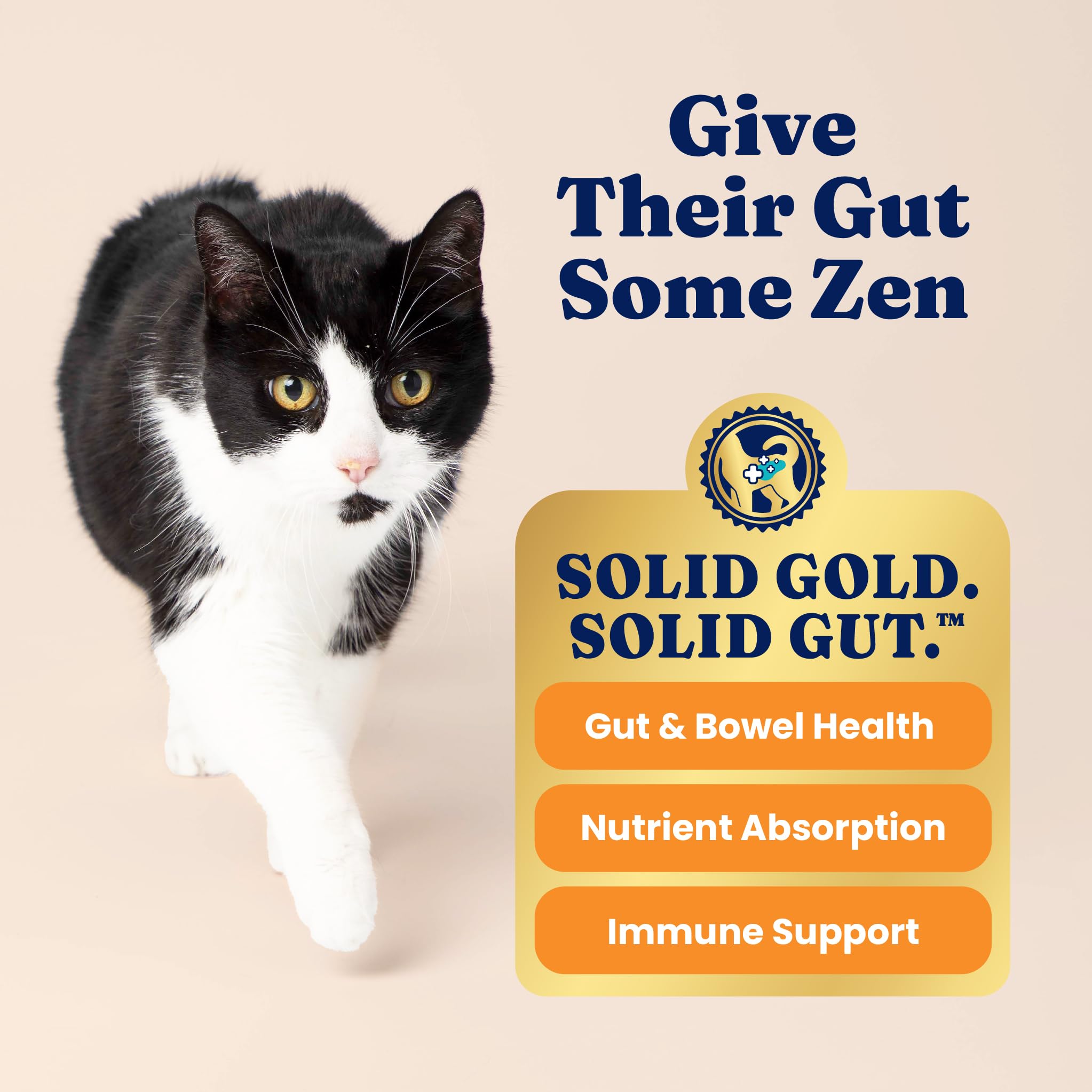 Solid Gold quail-protein-dry-cat-food showcases lean quail protein for muscle support and flavor.