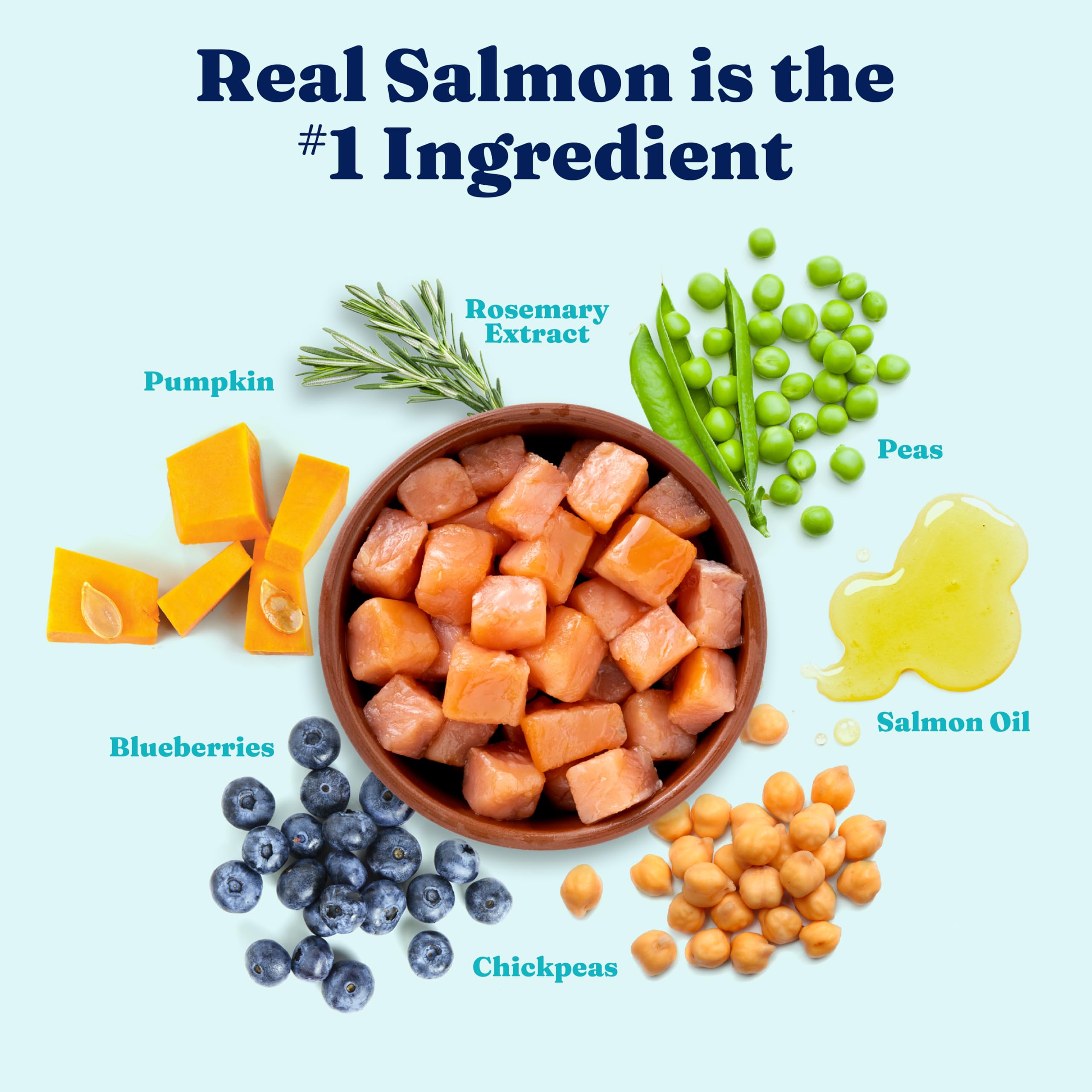 Solid Gold dog food bowl served image, great for mealtime comfort and digestion.