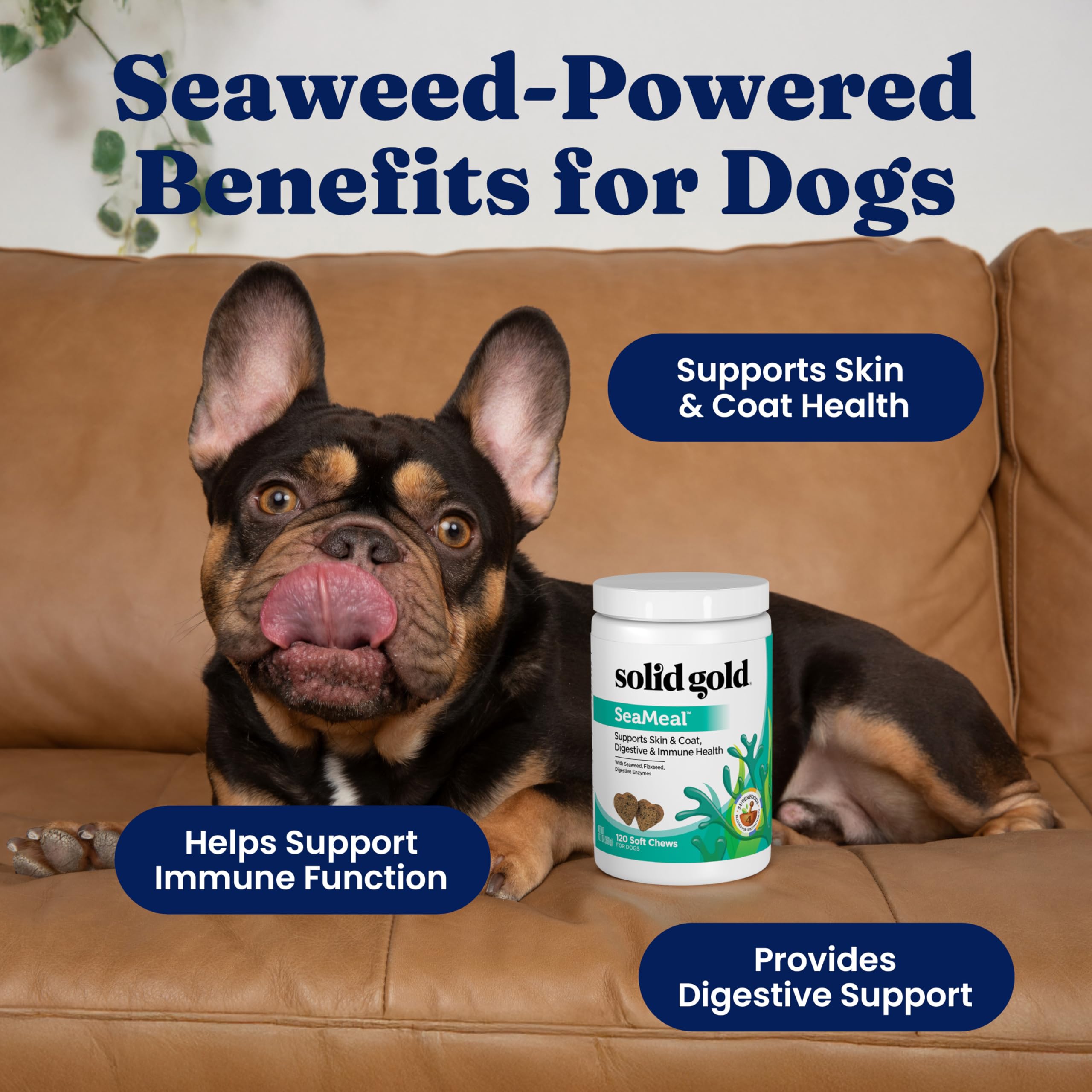 Solid Gold SeaMeal chews close-up showing seaweed-rich formula for health