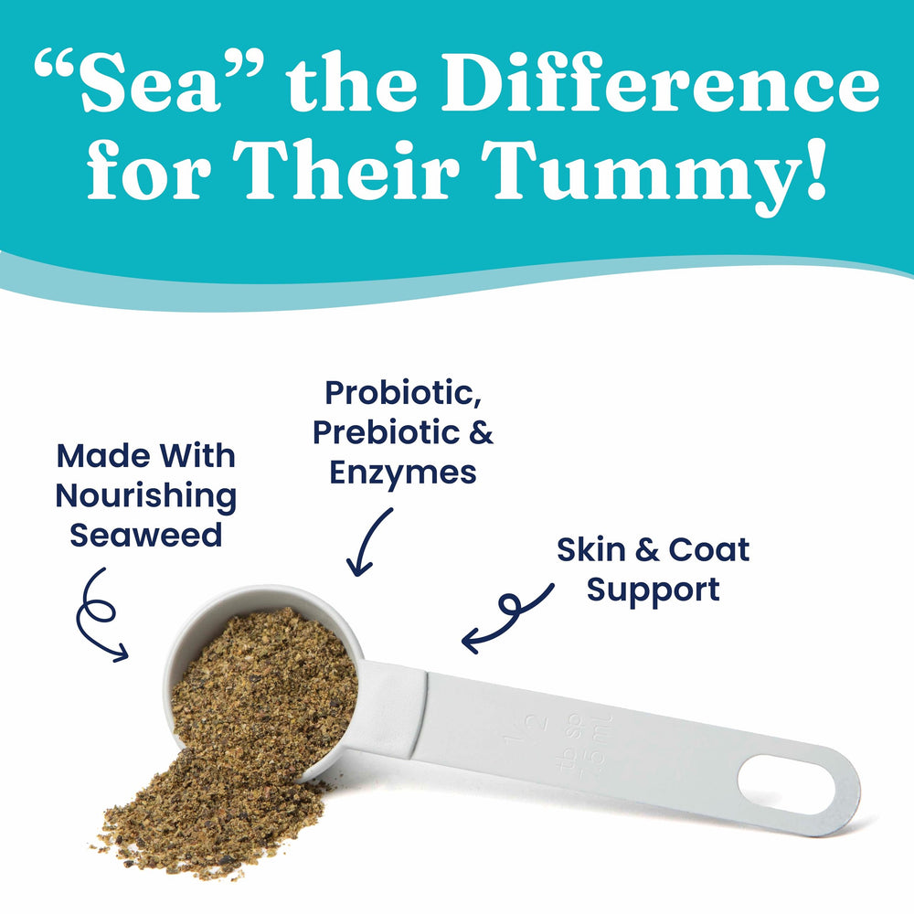 Solid Gold SeaMeal label close-up highlighting prebiotics and enzymes for gut support.
