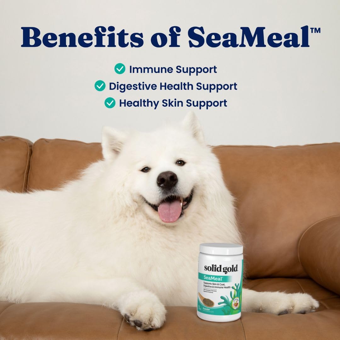 Solid Gold SeaMeal skin and coat result image suggesting hydration and luster.