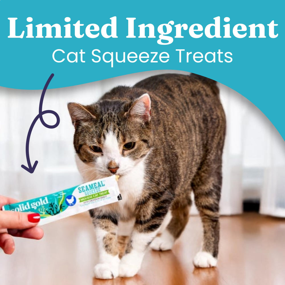 Solid Gold SeaMeal Squeeze chicken treat texture is creamy, ideal as a reward.