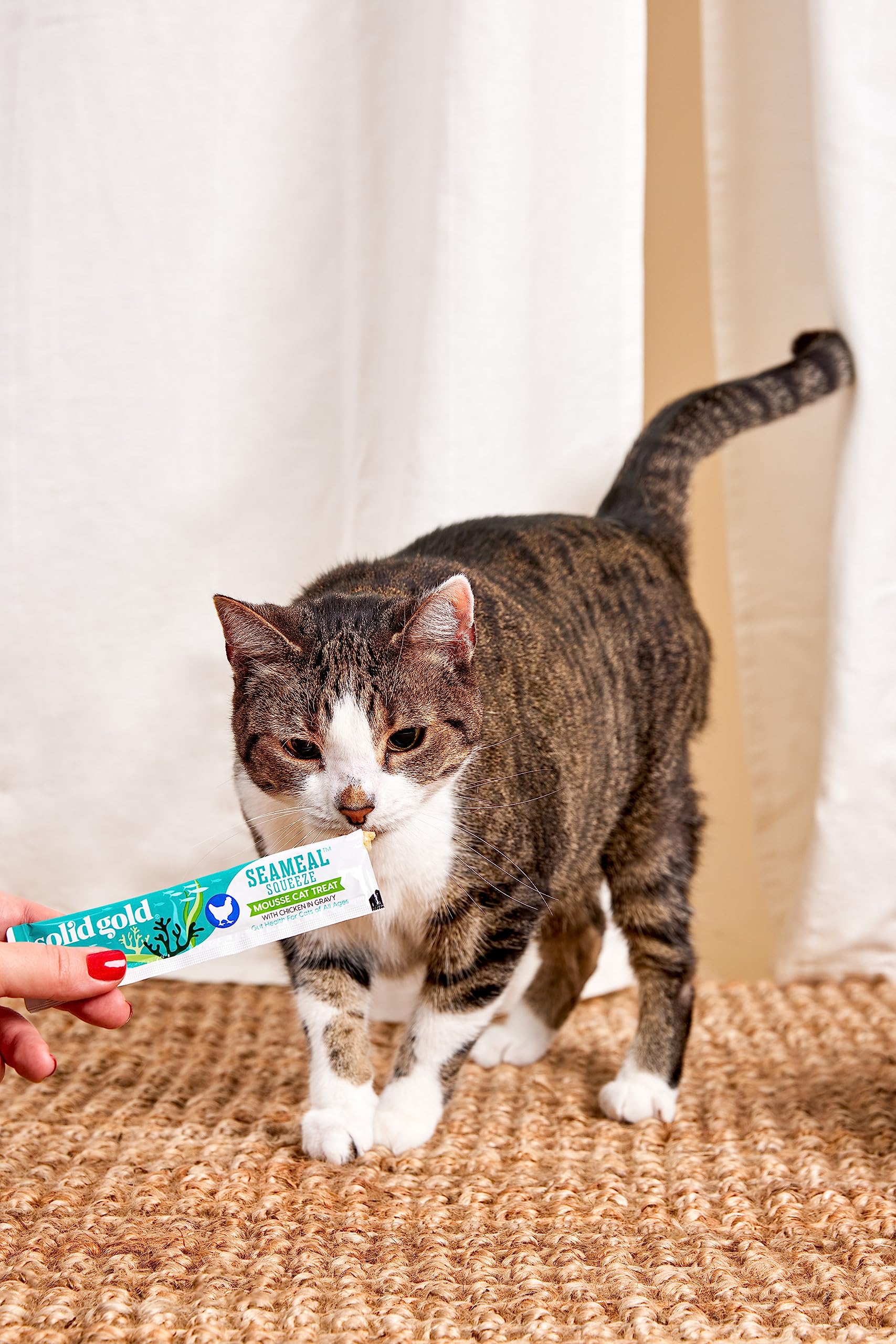 Solid Gold squeezable tuna treat; convenient hydration between meals.