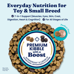 Solid Gold toy small breed kibble close-up for easier chewing