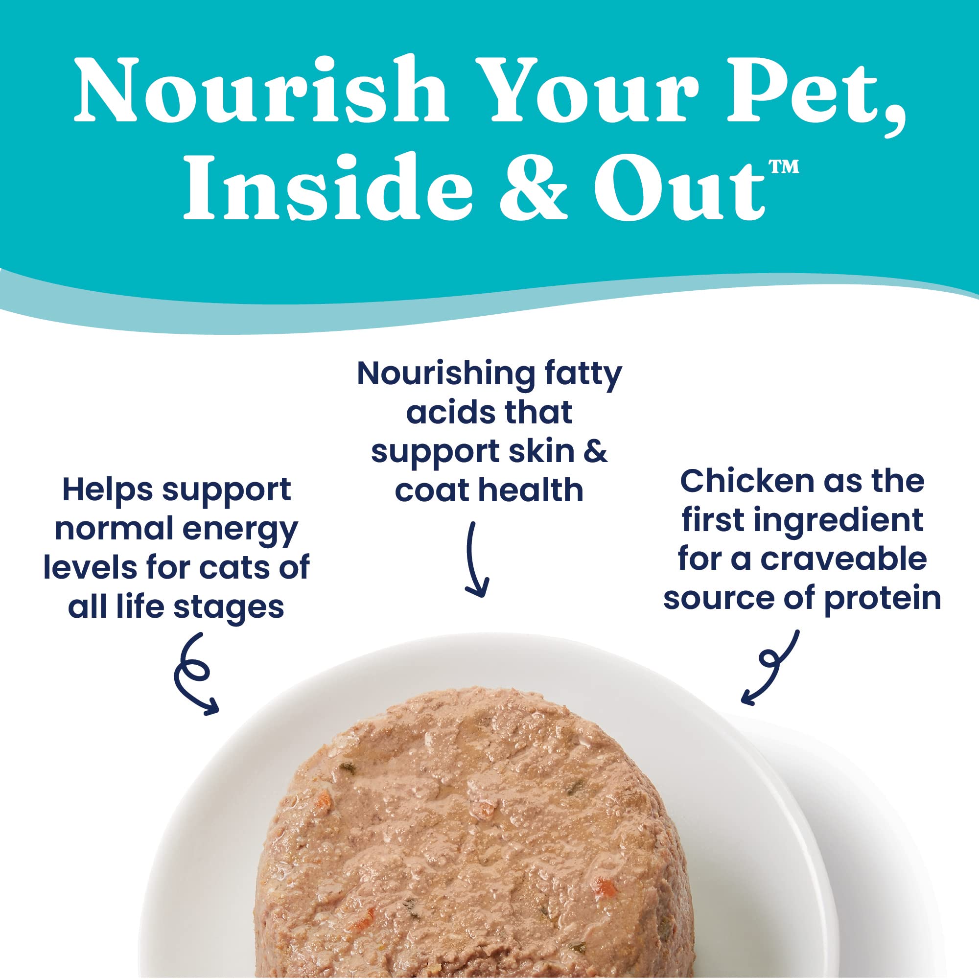 Solid Gold Tropical Blendz chicken pate served in bowl for easy meals.