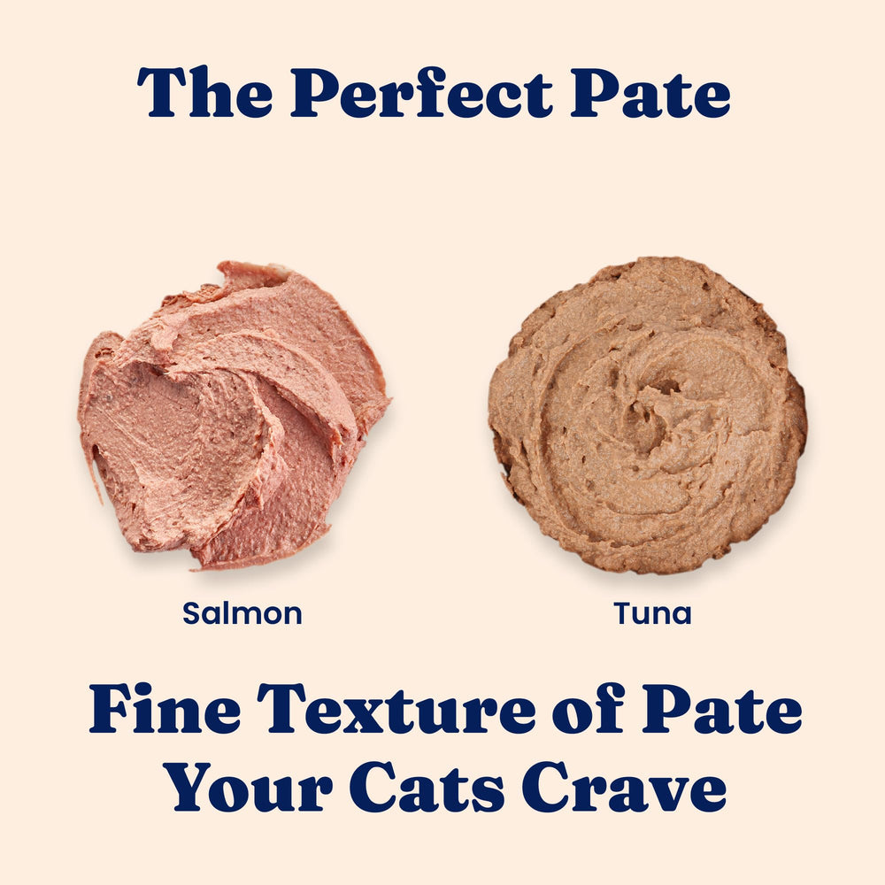 Solid Gold Tropical Blendz salmon pate closeup reveals creamy texture and savory salmon aroma.