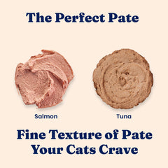 Solid Gold Tropical Blendz salmon pate closeup reveals creamy texture and savory salmon aroma.