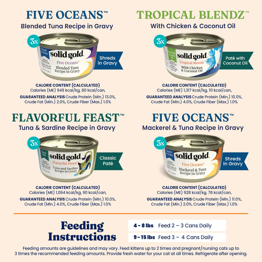 Solid Gold mealtime gravy close-up shows savory texture.